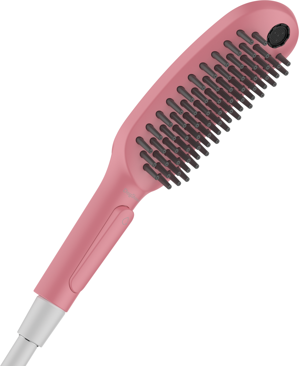 a91f7e353abed48fe8ef5ea47f2ab905