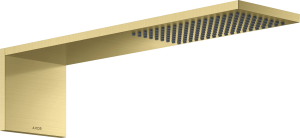 AXOR ShowerComposition Moduł głowicy prysznicowej 110/220 1jet Mosiądz Szczotkowany